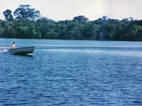 Amazônia, 1986-2003