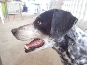 2016-10-21-casa-30